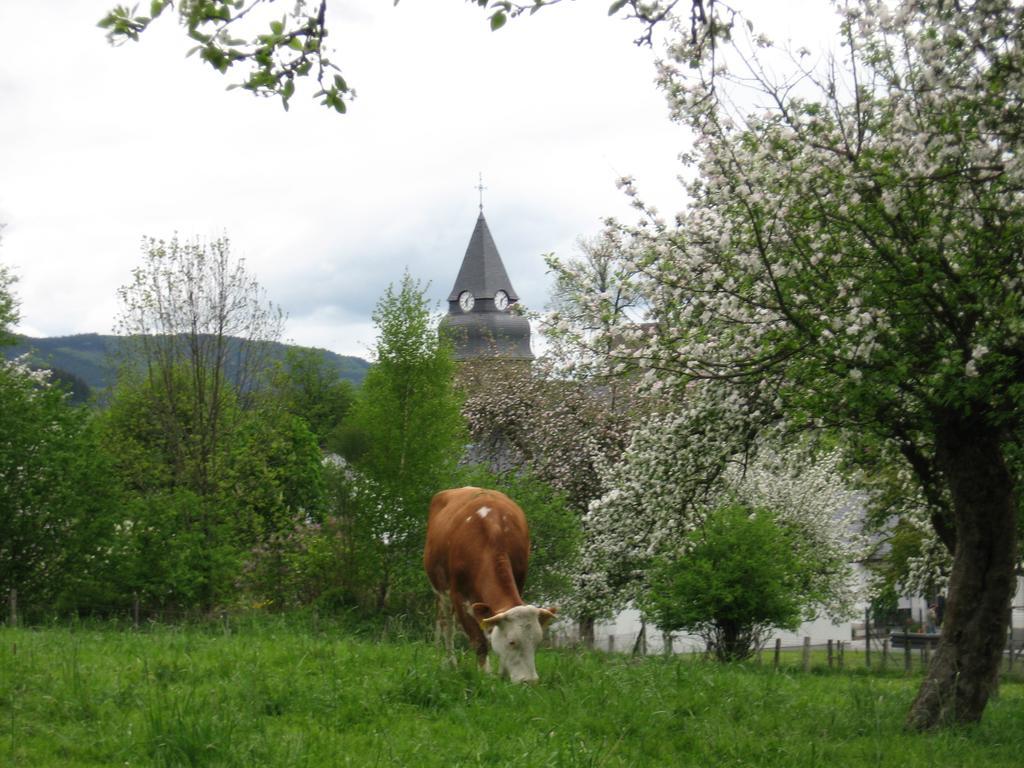 Ferienwohnung Moos-Hochsauerland Wiemeringhausen Pokoj fotografie