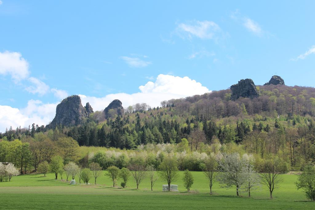 Ferienwohnung Moos-Hochsauerland Wiemeringhausen Pokoj fotografie