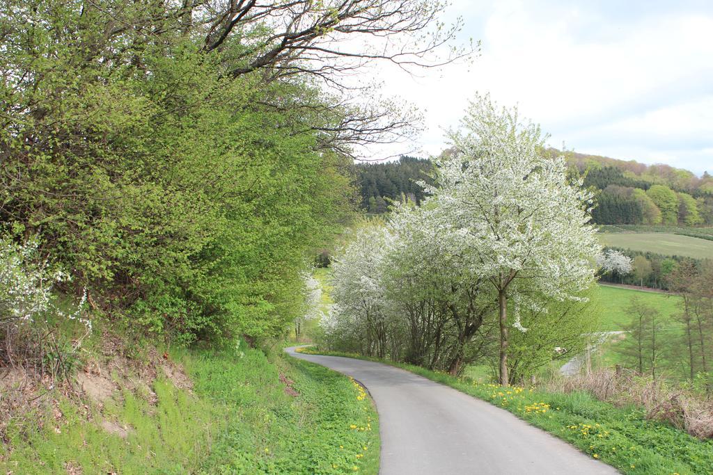 Ferienwohnung Moos-Hochsauerland Wiemeringhausen Pokoj fotografie